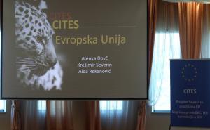 Foto: Dženan Kriještorac / Radiosarajevo.ba / Obuka u sklopu projekta ''Doprinos provedbi CITES konvencije u Bosni i Hercegovini''